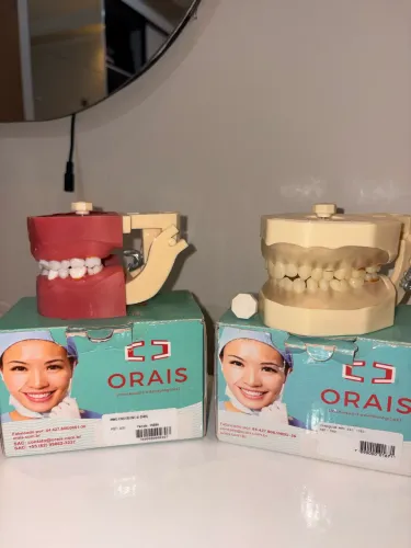 Manequim Endodontia Orais