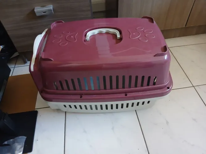 Casa de transporte para animal