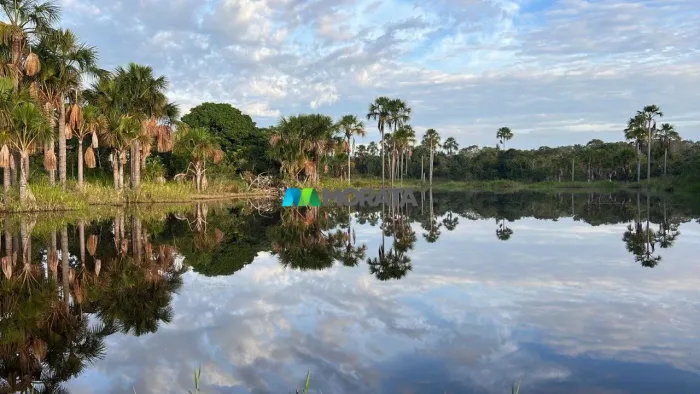 FAZENDA À VENDA - 4.100 HECTARES - BURITIZEIRO (MG)