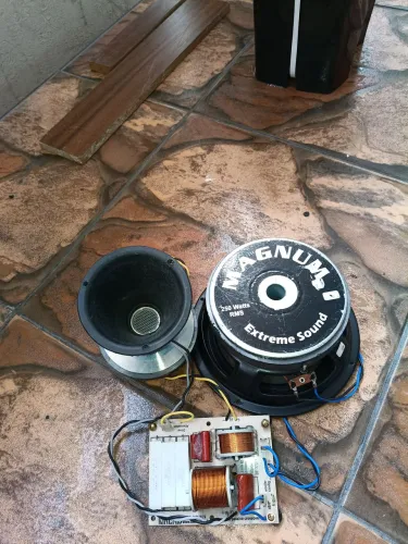 Conjunto Driver , Woofer e placa crossover.
