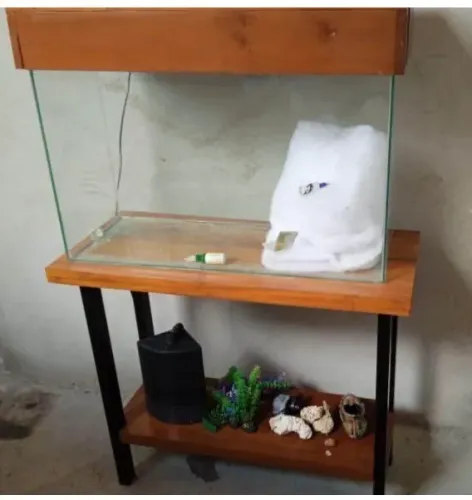 Aquário