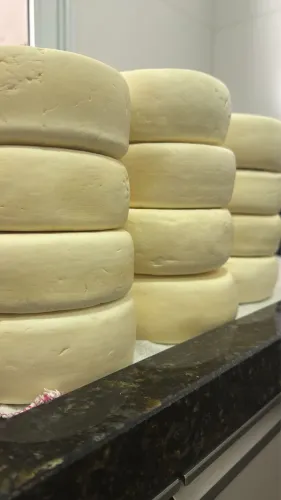 Queijo meia cura e curado