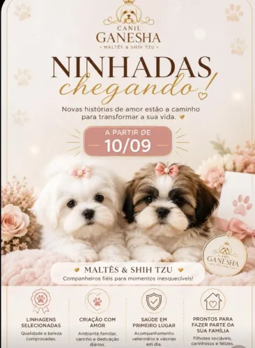 Novidades no canil ganesha