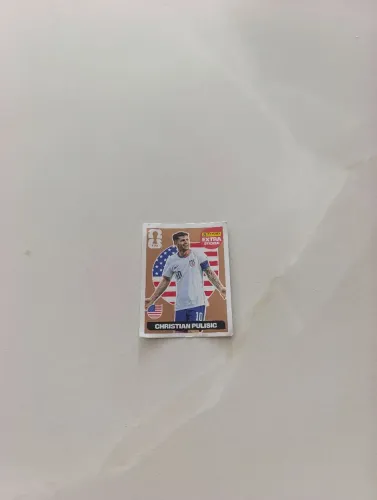 Christian pulisic bronze!!!
