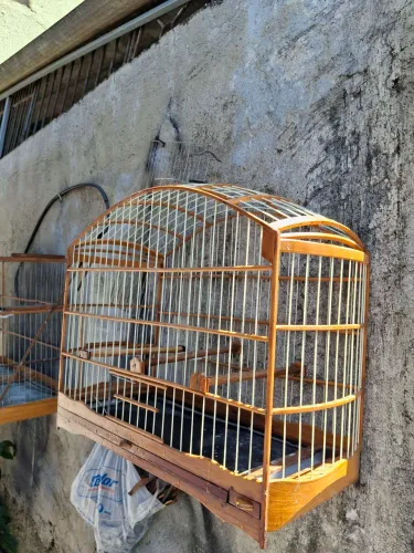 Gaiola