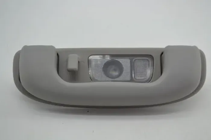 Puxador Alça Teto Pqp Com Luz Gm Equinox 2018 Original Cinza