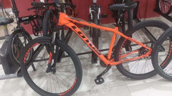 Bicicleta lótus *33
