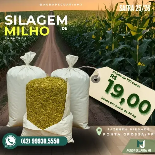 Silagem de milho ensacada
