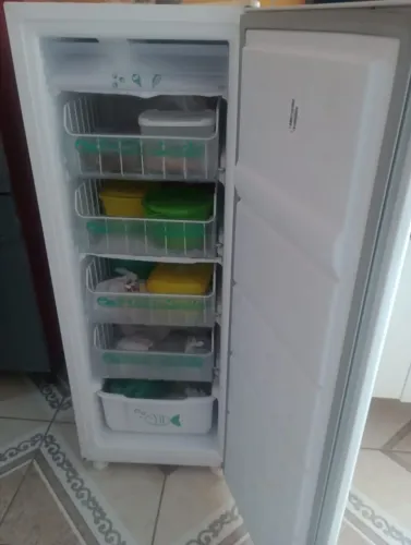 Freezer vertical consul