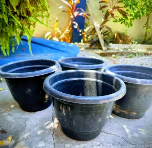 4 Vasos de Plantas Médios