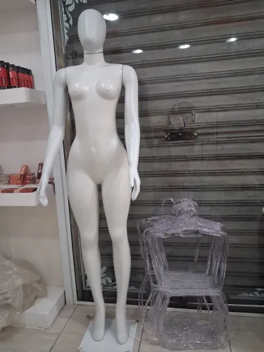 Vendo Manequim e Cabides Silhueta