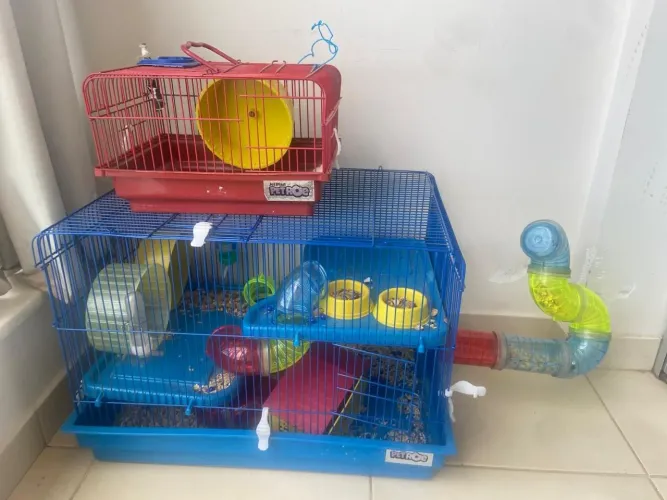 Gaiola casa de hamster
