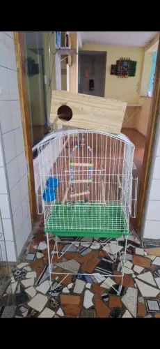 Gaiolas para calopsita