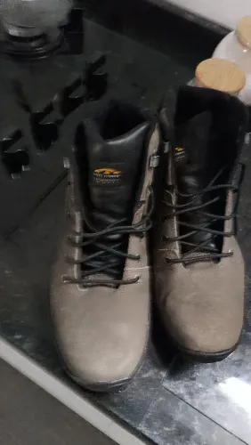 Bota