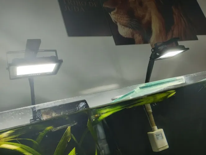 Refletores 50w