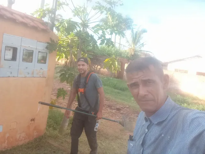 Limpeza de terreno chama *