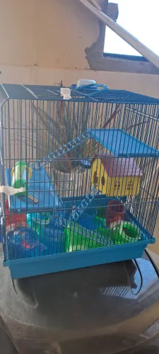 Gaiola para Hamister