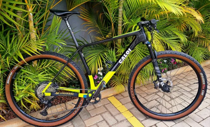 Caloi Carbon Race