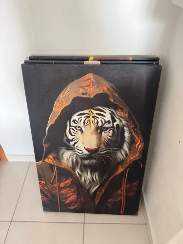 Vendo quadros decorativos
