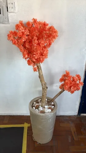 Árvore de laranjeira
