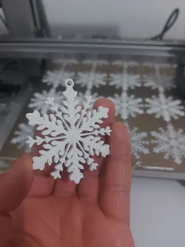 Flocos De Neve