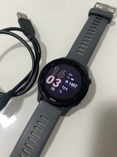 Garmin 255