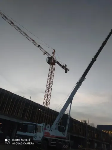 Grua QTZ20 Ascencional