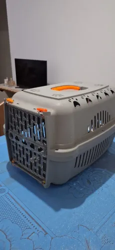 Casinha viajante de cachorro
