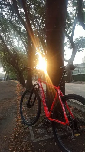 Bicicleta Absolute Aro 29 - Shimano Altus 24v - Freios Hidráulicos - Quadro 21