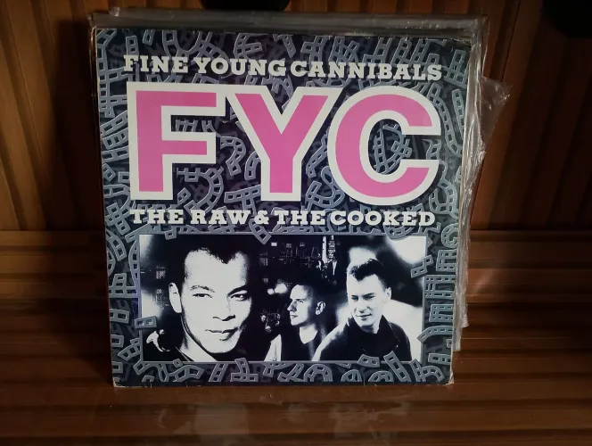 LP vinil FYC pop rock 