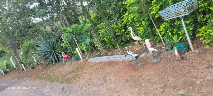 Preciso de serviços simples...