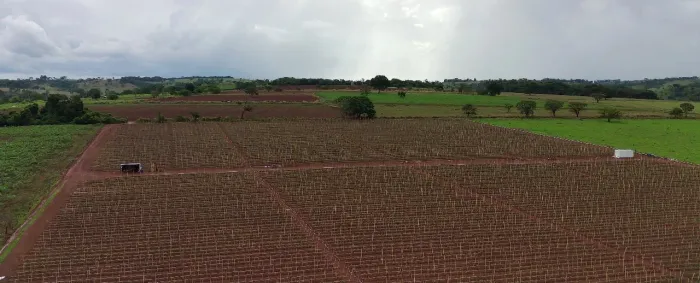 Fazenda à venda de 82 alqueires em Anápolis-Go