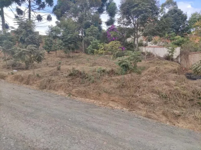 Terrenos Padrão em Caldas