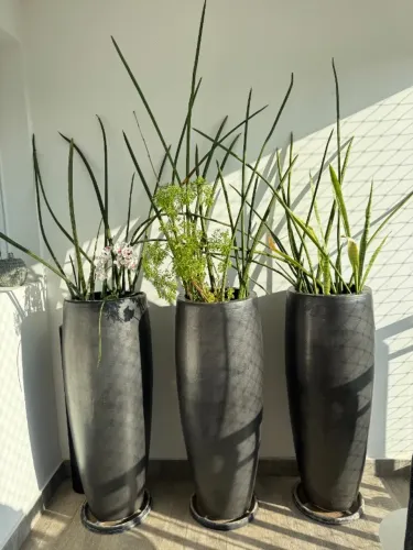 Vasos Vietnamitas da L'oeil - Grafite