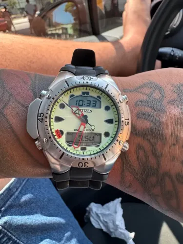 Citizen Jp1060 Natulite