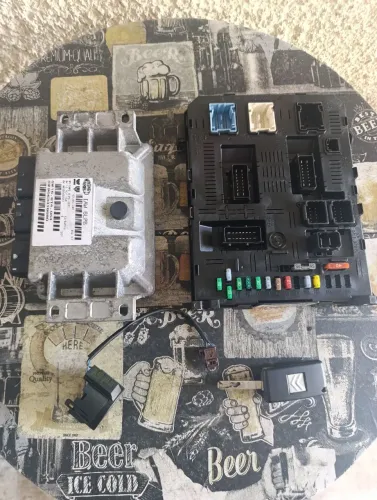Kit módulo C4 Pallas Peugeot 307 2.0