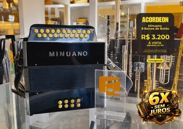 Acordeon 8 Baixos de Botão Minuano - Seminova