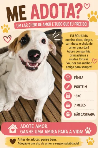 Adoção Fêmea porte M de 7 meses