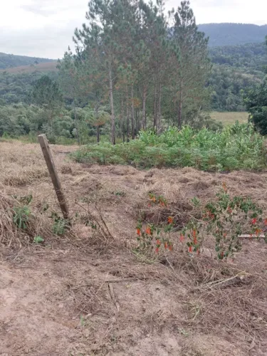 Otimo terreno de 4.500m2 em Bofete
