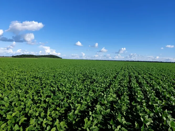 Fazenda para plantio em Montes Claros de Goiás.