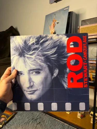Lp Rod Stewart - Camouflage