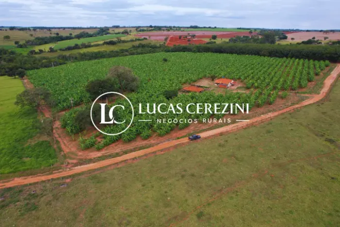 5 Alqueires em Nhandeara 90% aproveitável