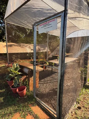 Estufa viveiro tropical