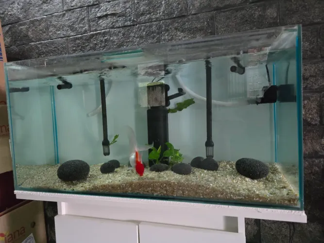 Aquario 96 Litros 2 filtros Uv Luminária e Movel