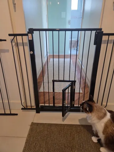 Portão pet com portinha para gato