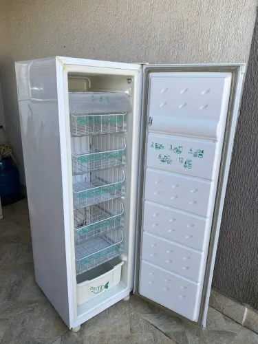 Freezer Consul 195, L