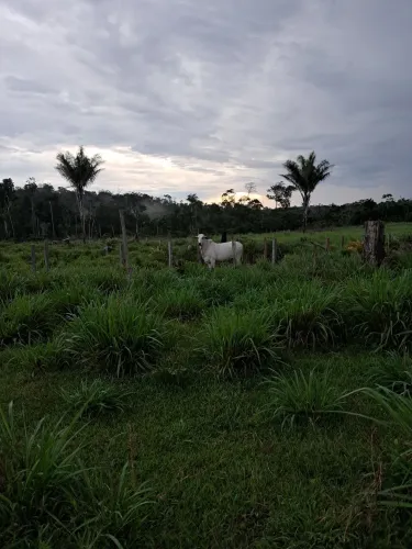 Area de terra a venda