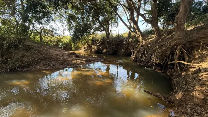 Chacara de 3mil mt com alguns pés de fruta e córrego no fundo em Cristianopolis!