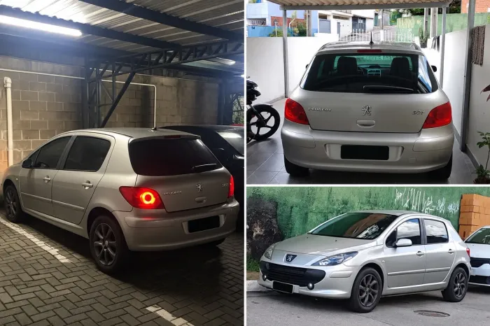 Peugeot 307 Soleil/ Presence 1.6/1.6 Flex 16V 5P 2008