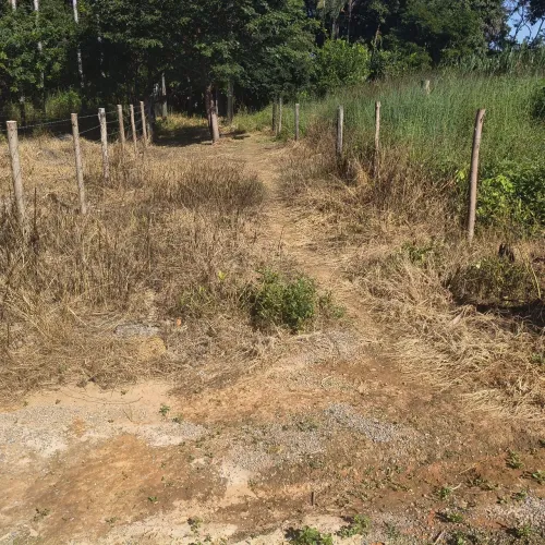 Lotes entrada restante boleto bancário